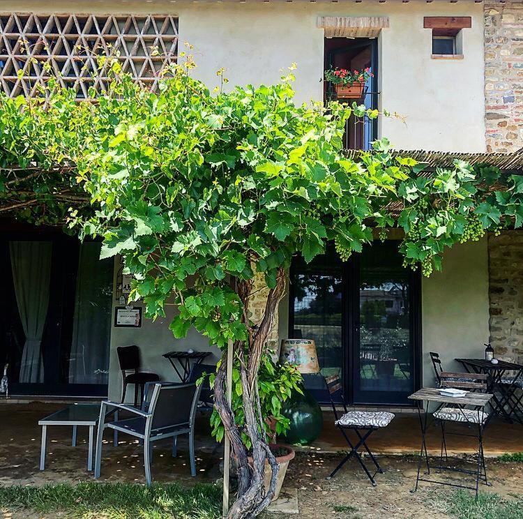 Bed and Breakfast Bosco Ai Marzi à Poggibonsi Extérieur photo