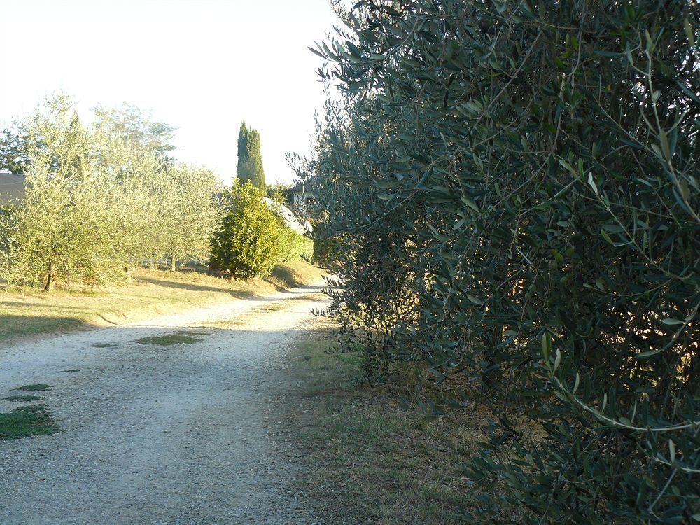 Bed and Breakfast Bosco Ai Marzi à Poggibonsi Extérieur photo