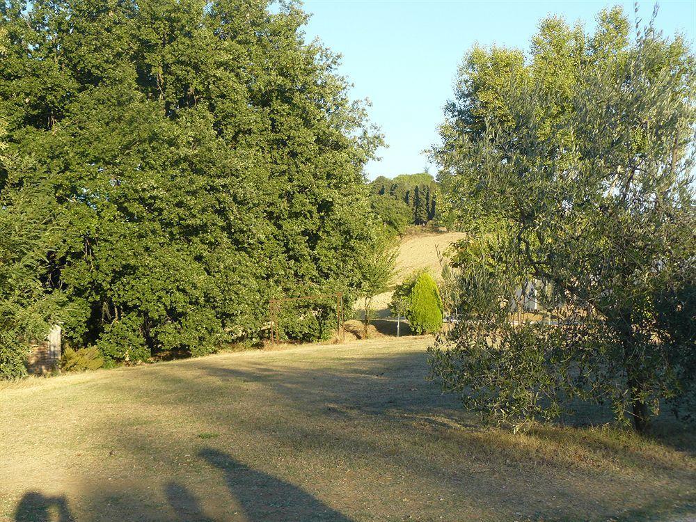 Bed and Breakfast Bosco Ai Marzi à Poggibonsi Extérieur photo