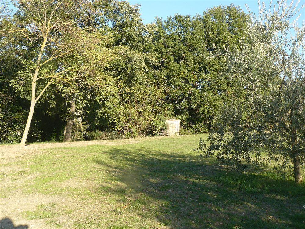 Bed and Breakfast Bosco Ai Marzi à Poggibonsi Extérieur photo