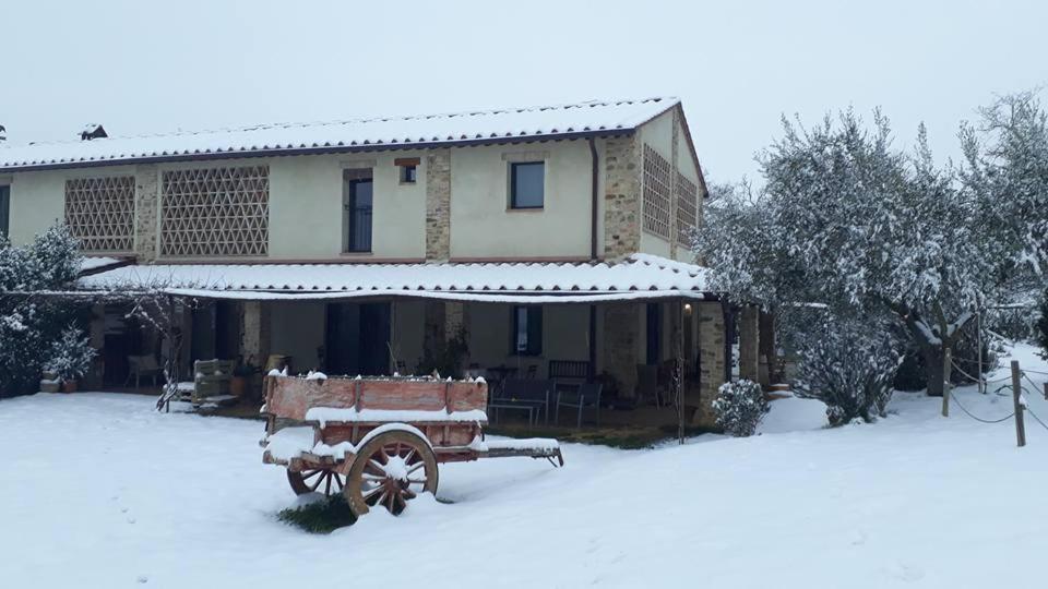 Bed and Breakfast Bosco Ai Marzi à Poggibonsi Extérieur photo